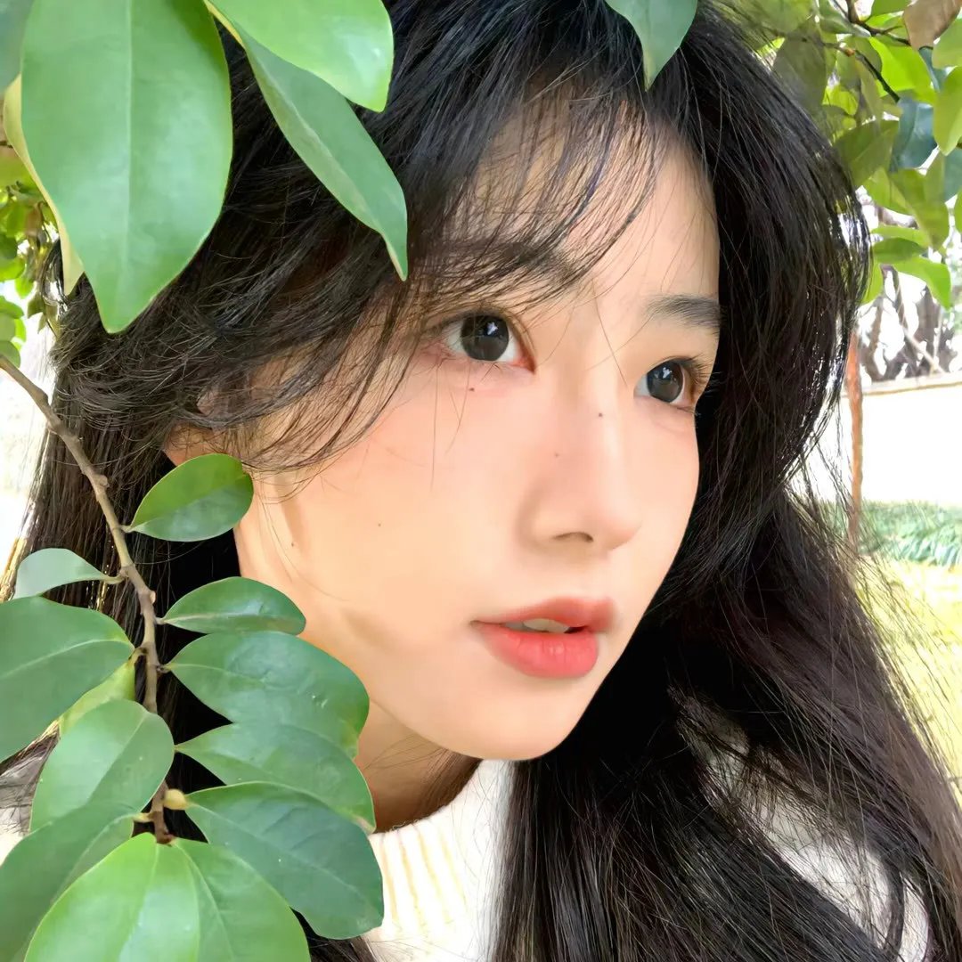 春晓